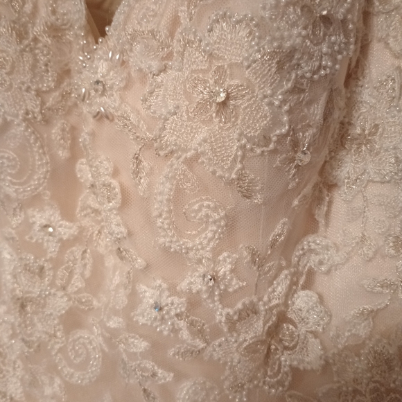 Maggie Sottero Collins wedding dress - Picture 5 of 13